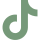 TikTok Logo